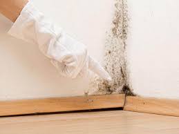 Best Residential Mold Inspection & Testing  in Holbrook, NY